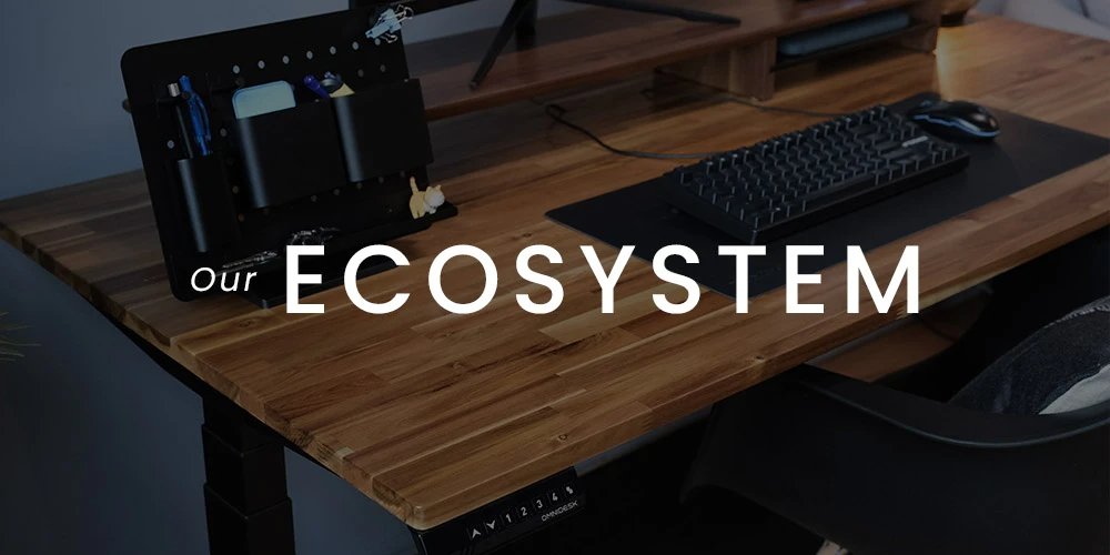 The Best Standing Desk And Ergonomic Workspaces Omnidesk Malaysia