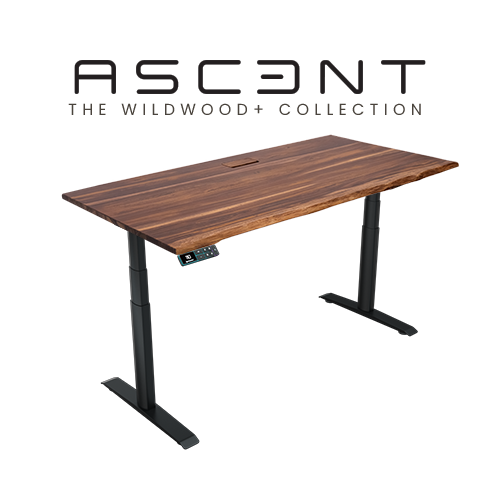 Ascent Wildwood+