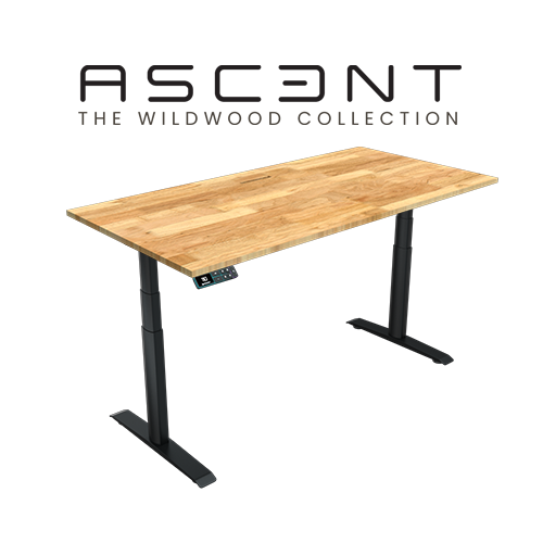 Ascent Wildwood Collection